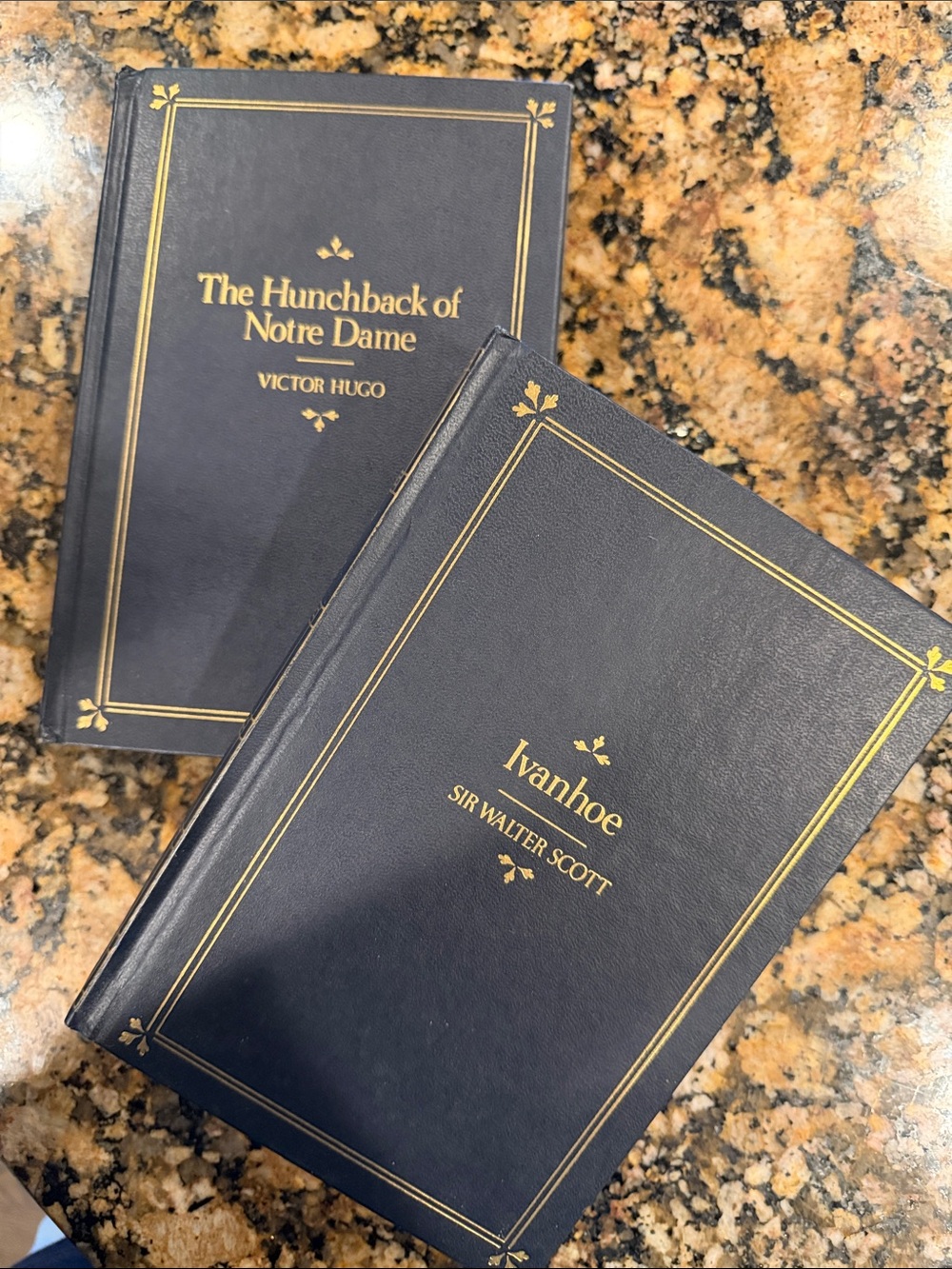 Ivanhoe/ The Hunchback of Notre Dame Classic Navy Hardcover Books